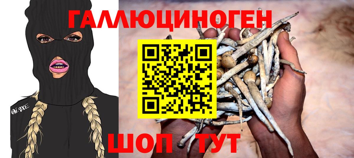 Сочи  Галлюциногенные грибы мицелий  Вход с VPN 